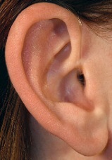 Ｏｐｅｎタイプ補聴器‐装着図